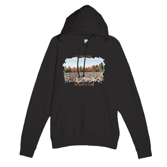 13a8fd66-5095-447b-be0a-23e77c429dd9