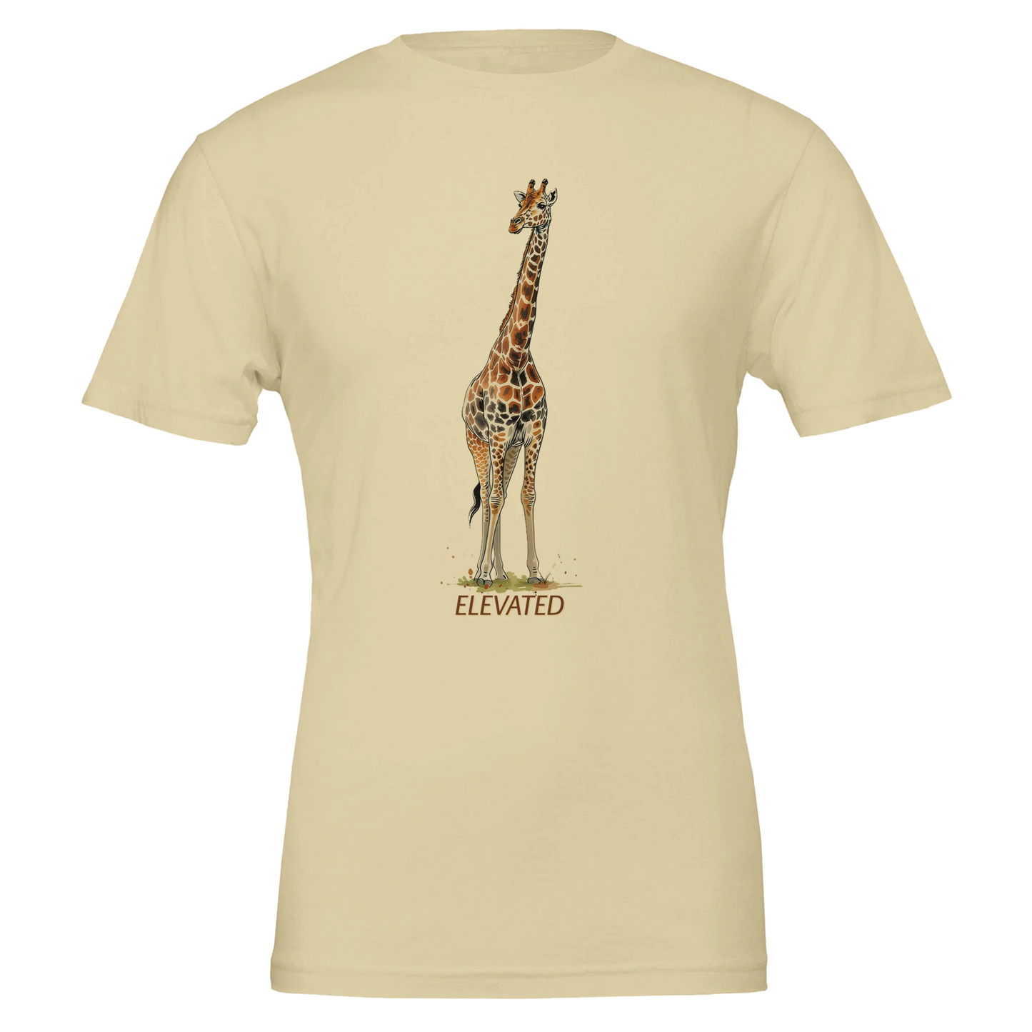 215e5247-b026-46d1-9de5-7b3d383bd651