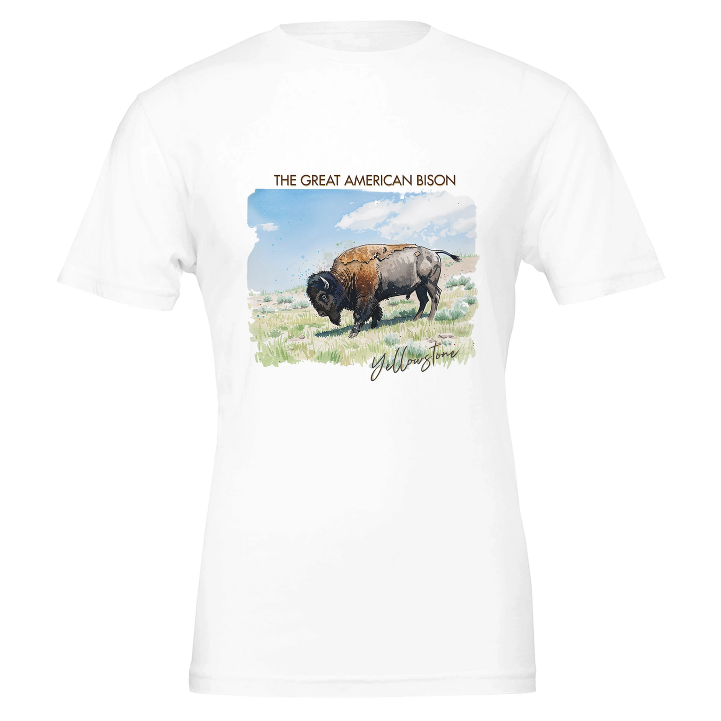 8dc2bb3f-207d-4b29-b4cf-c445ee188257